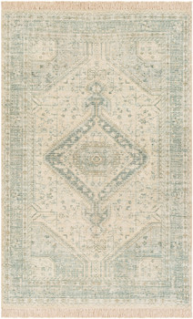 Surya Zainab ZAI-2303 Traditional Hand Woven Area Rugs