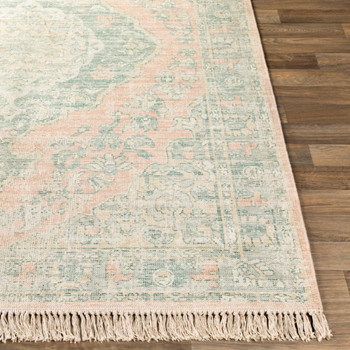 Livabliss Zainab ZAI-2313 Traditional Hand Woven Area Rugs