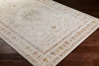 Livabliss Palermo PLO-2301 Traditional Machine Woven - 2' X 3' Rectangle Area Rug