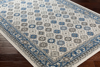 Surya Roosevelt ROO-6206 Global Machine Woven - 2'8" X 8' Runner Area Rug