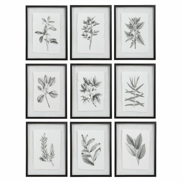 Uttermost Farmhouse Florals Framed Prints, S/9