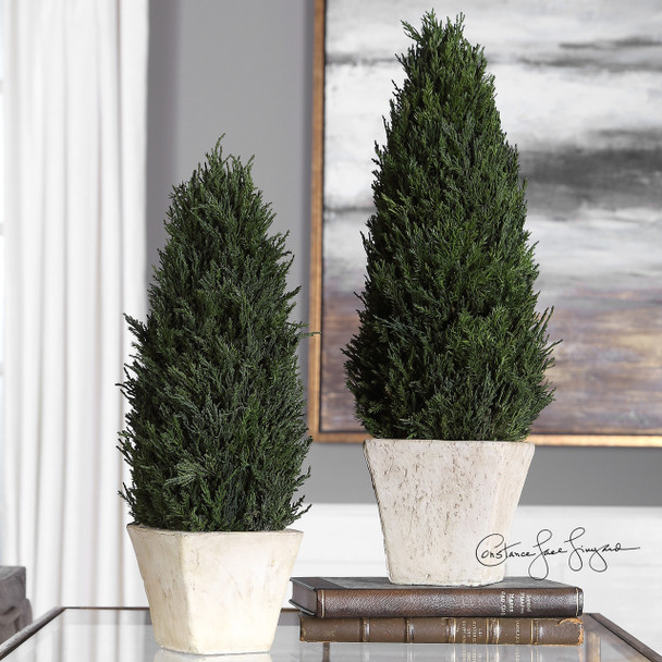 Uttermost Cypress Cone Topiaries, S/2