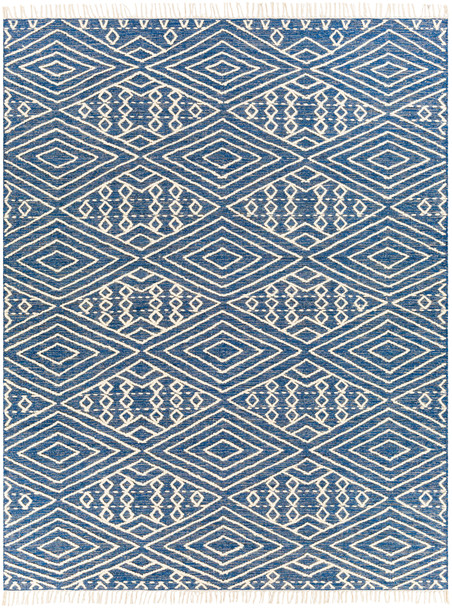 Surya Bedouin BDO-2309 Global Hand Woven Area Rugs