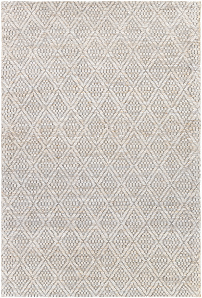 Surya Trace TCE-2301 Modern Hand Woven Area Rugs