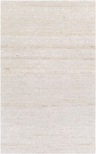 Surya Trace TCE-2304 Modern Hand Woven Area Rugs