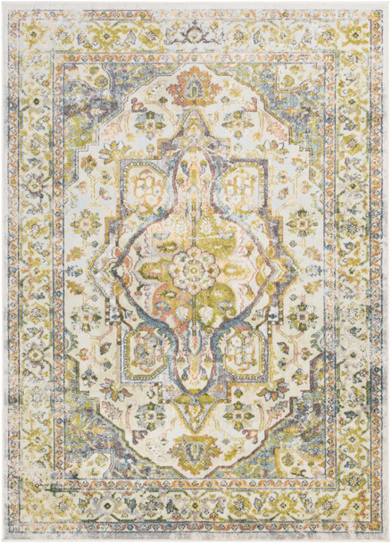 Surya New Mexico NWM-2337 Traditional Machine Woven Area Rugs