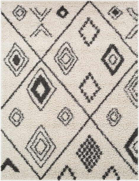 Surya Taza Shag TZS-2322 Global Machine Woven Area Rugs