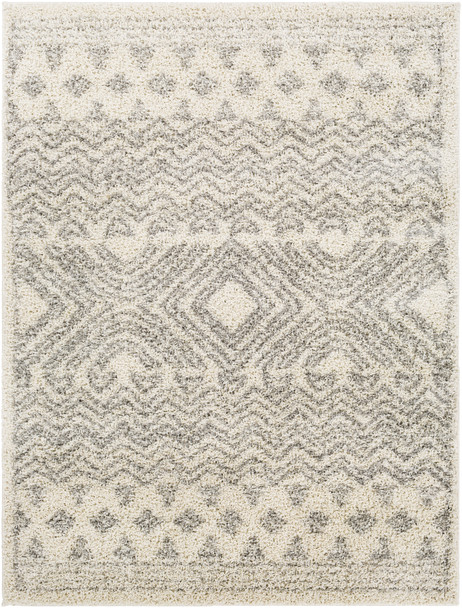Surya Taza Shag TZS-2342 Global Machine Woven Area Rugs