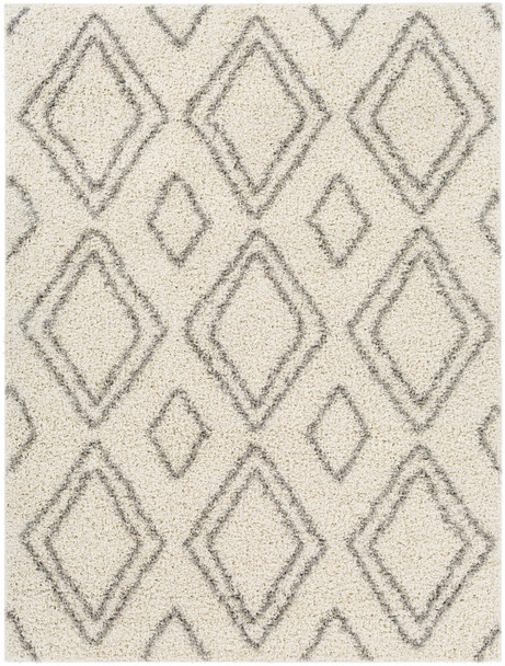 Surya Taza Shag TZS-2323 Global Machine Woven Area Rugs