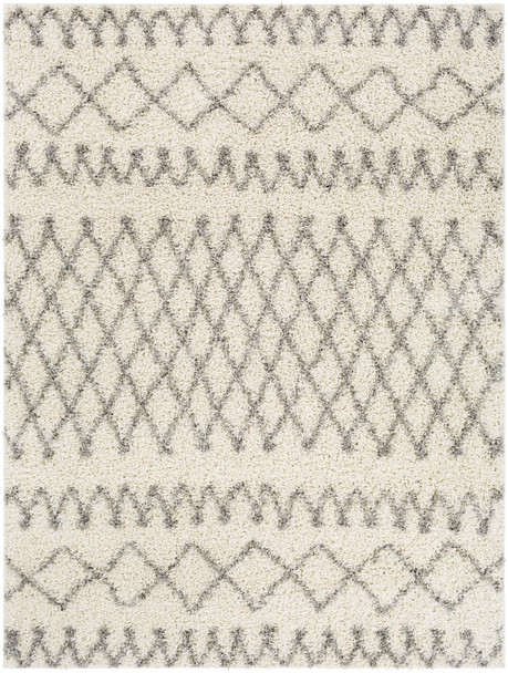 Surya Taza Shag TZS-2315 Global Machine Woven Area Rugs