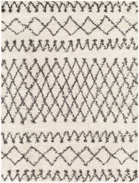 Surya Taza Shag TZS-2316 Global Machine Woven Area Rugs