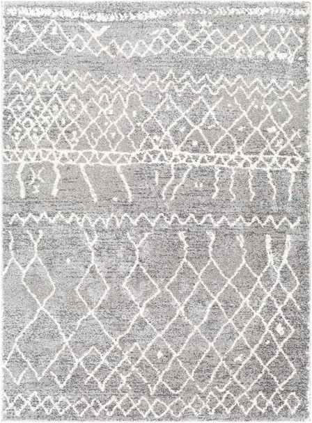 Surya Andorra ARD-2304 Global Machine Woven Area Rugs