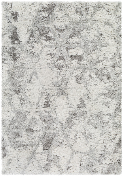 Surya Alta Shag ASG-2302 Modern Machine Woven Area Rugs