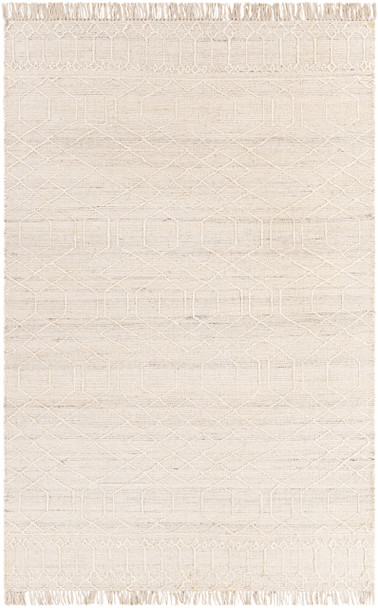 Surya Watford WTF-2303 Global Hand Woven Area Rugs