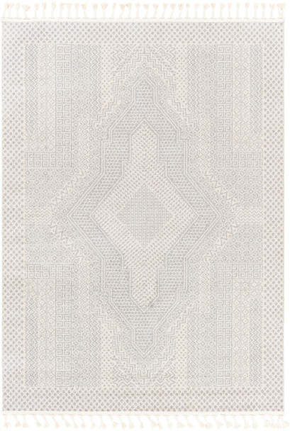 Surya Euphoria ERP-2300 Global Machine Woven Area Rugs