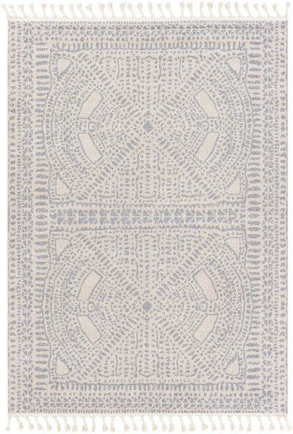 Surya Euphoria ERP-2307 Global Machine Woven Area Rugs