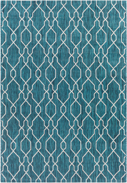Surya Eagean EAG-2382 Traditional Machine Woven Area Rugs