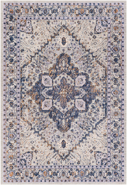 Surya Infinity INF-2305 Traditional Machine Woven Area Rugs