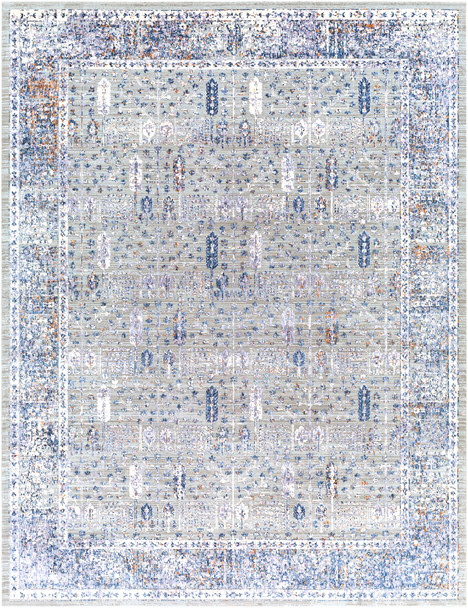 Surya Infinity INF-2307 Traditional Machine Woven Area Rugs