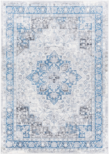 Surya Lustro LSR-2326 Traditional Machine Woven Area Rugs