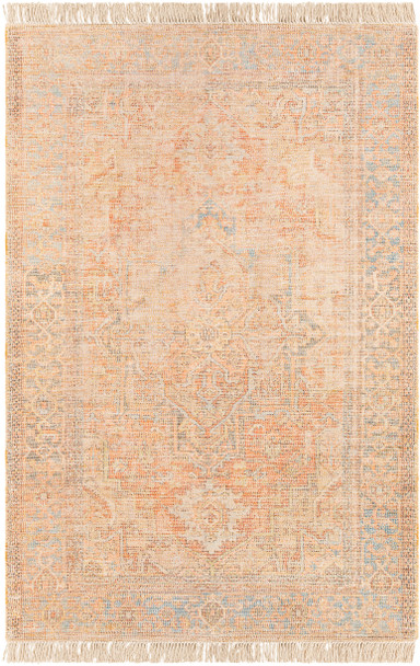 Surya Amasya AMY-2305 Traditional Hand Woven Area Rugs