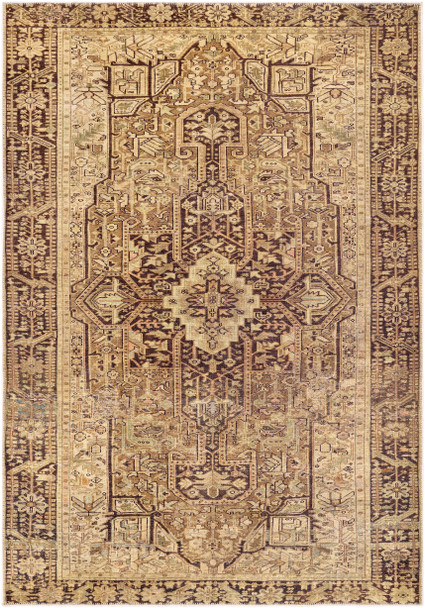 Surya Amelie AML-2348 Traditional Machine Woven Area Rugs