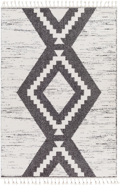 Surya Valencia VLC-2303 Global Machine Woven Area Rugs