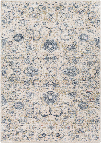Surya Amore AMO-2307 Traditional Machine Woven Area Rugs