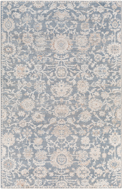 Surya Amore AMO-2313 Traditional Machine Woven Area Rugs