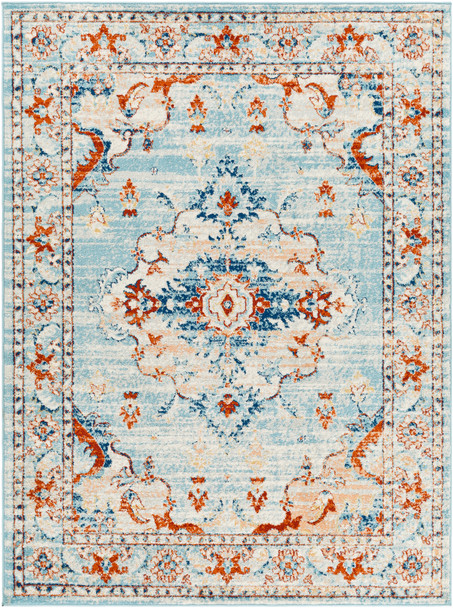 Surya Tevazu TVZ-2326 Traditional Machine Woven Area Rugs