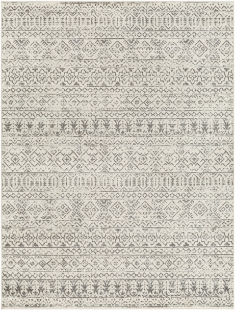 Surya Tevazu TVZ-2379 Global Machine Woven Area Rugs