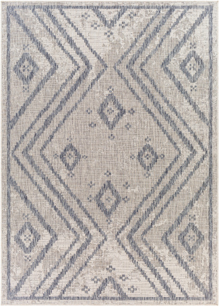 Surya Tuareg TRG-2312 Global Machine Woven Area Rugs