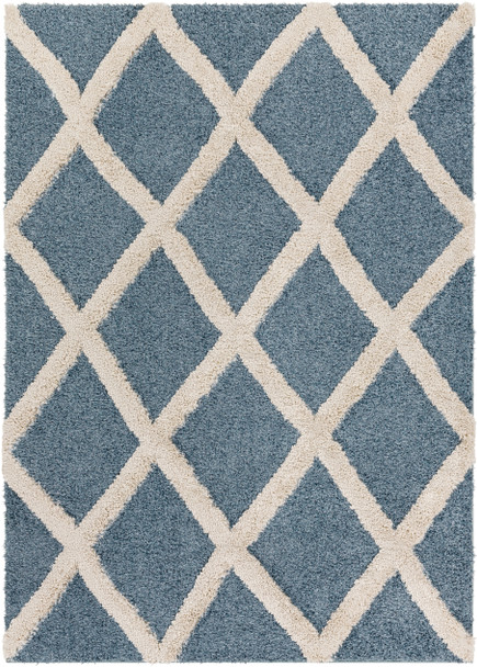 Surya Hudson Shag HDS-2301 Traditional Machine Woven Area Rugs