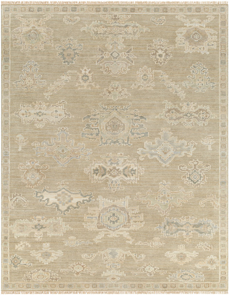 Surya Antalya AAT-2305  Hand Knotted Area Rugs