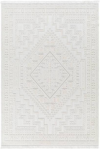 Surya Broadway BWY-2300  Machine Woven Area Rugs