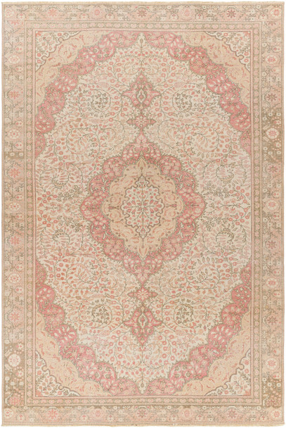 Surya Antique One Of A Kind AOOAK-1059  Hand Knotted - 5'9" X 9'2" Rectangle Area Rug