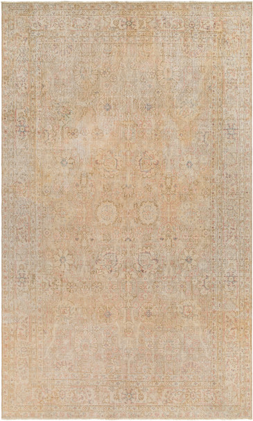 Surya Antique One Of A Kind AOOAK-1149  Hand Knotted - 6'10" X 11'9" Rectangle Area Rug