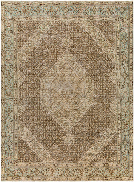 Surya Antique One Of A Kind AOOAK-1193  Hand Knotted - 9'8" X 13'1" Rectangle Area Rug