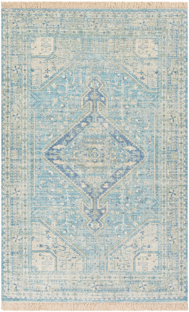 Surya Zainab ZAI-2304 Traditional Hand Woven - 8'10" X 12' Rectangle Area Rug