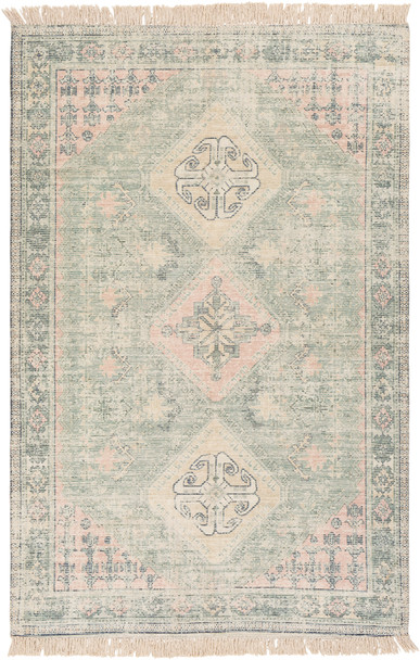 Surya Zainab ZAI-2316 Traditional Hand Woven - 8'10" X 12' Rectangle Area Rug