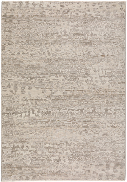 Dalyn Denizi DZ6 Silver Power Woven Area Rugs