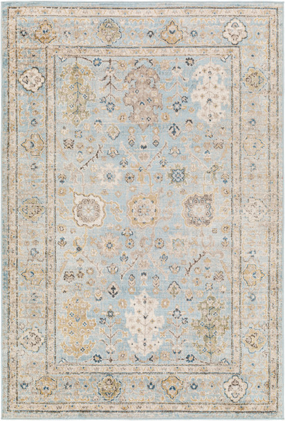 Livabliss Pertek PTK-2307 Traditional Machine Woven Area Rugs
