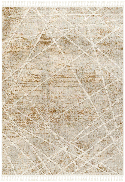 Surya Rudy RDY-2308 Modern Machine Woven Area Rugs