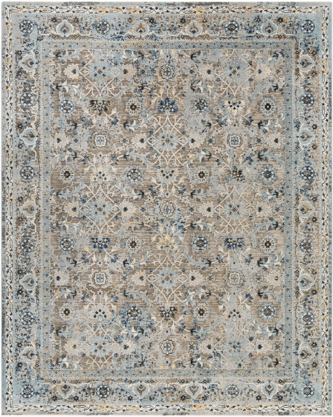 Surya Hassler HSL-2301 Traditional Machine Woven Area Rugs