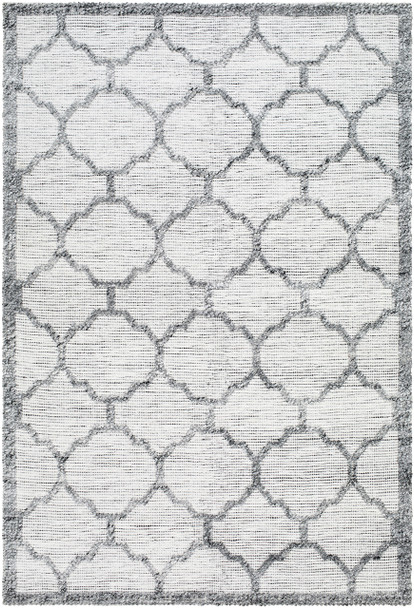 Livabliss Napoli NPO-2307 Traditional Hand Woven Area Rugs