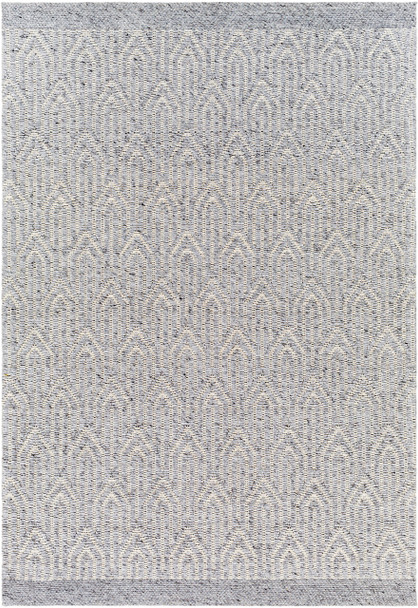 Livabliss Napoli NPO-2315 Modern Hand Woven Area Rugs
