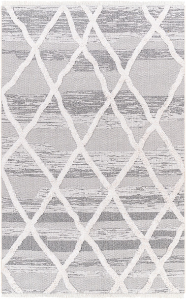 Livabliss Morocotton MCT-2306 Global Machine Woven Area Rugs