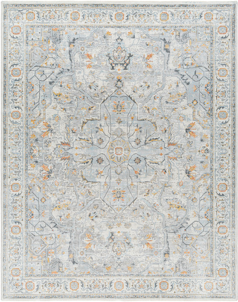 Surya Hassler HSL-2306 Traditional Machine Woven Area Rugs