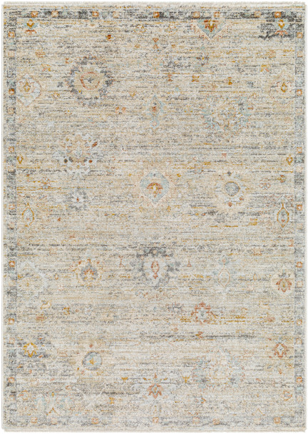Livabliss Rojin ROJ-2303 Traditional Machine Woven Area Rugs
