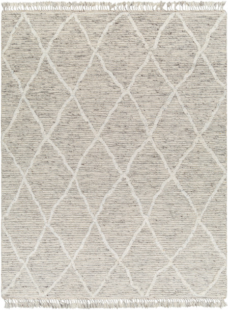 Livabliss Tenerife TNF-2302 Global Hand Knotted Area Rugs